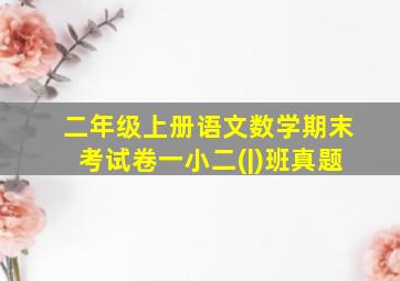 二年级上册语文数学期末考试卷一小二(|)班真题